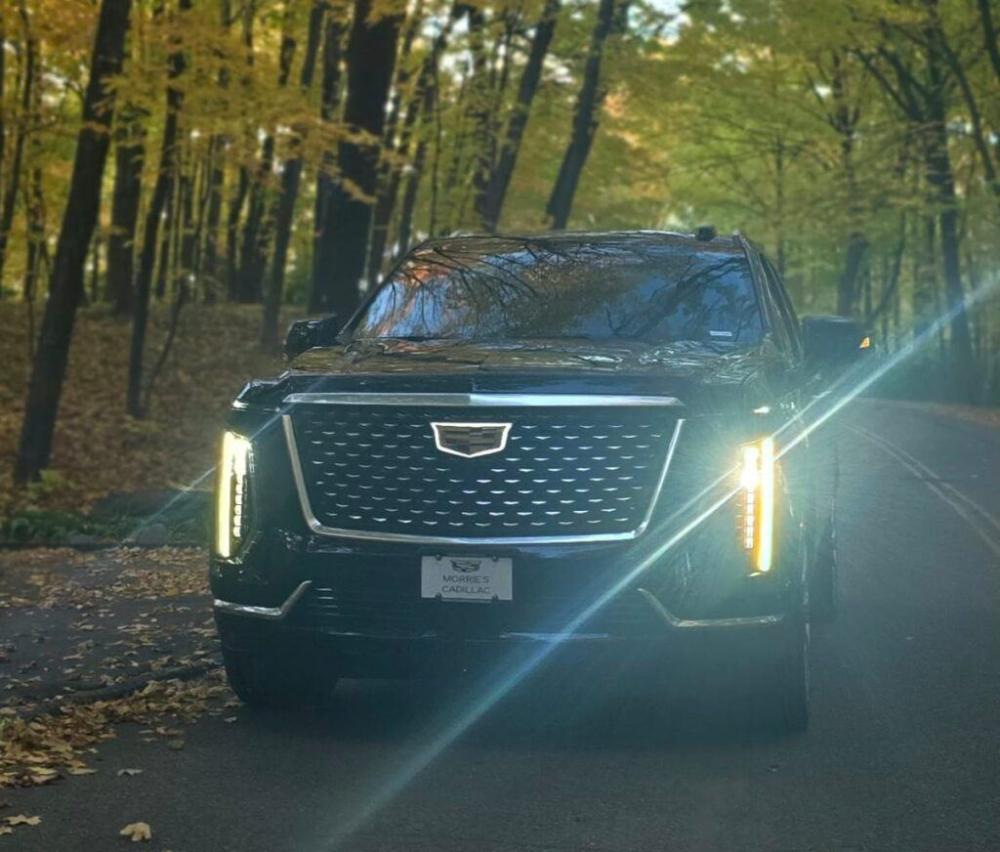 MN Black Car Cadillac Escalade representing worldwide black car service